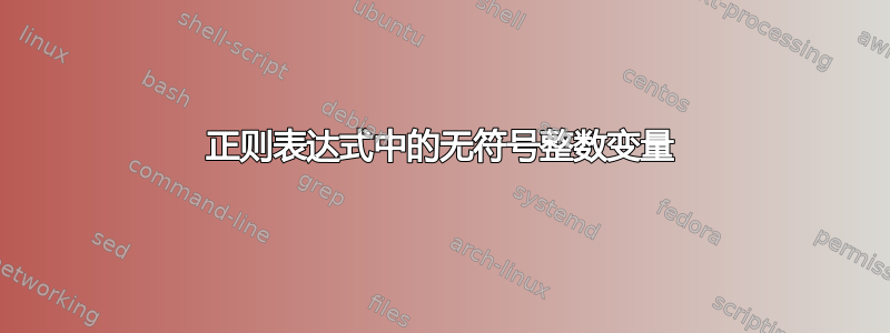 正则表达式中的无符号整数变量