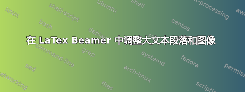 在 LaTex Beamer 中调整大文本段落和图像