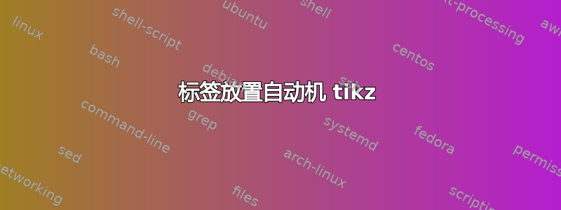 标签放置自动机 tikz