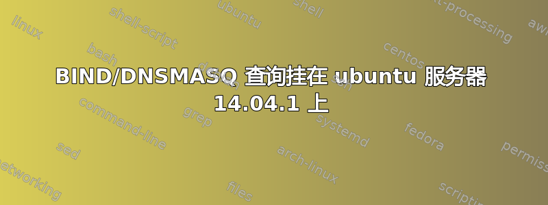 BIND/DNSMASQ 查询挂在 ubuntu 服务器 14.04.1 上