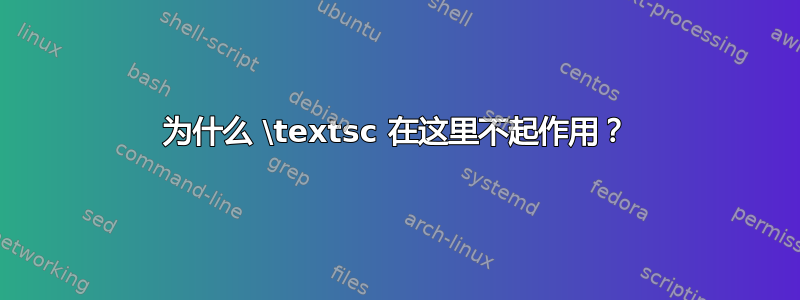 为什么 \textsc 在这里不起作用？