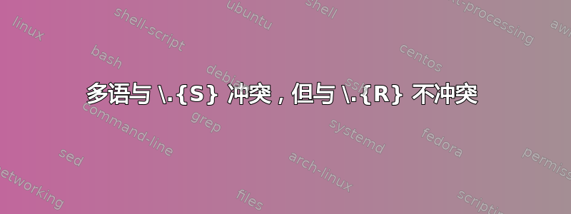 多语与 \.{S} 冲突，但与 \.{R} 不冲突