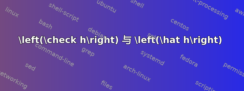 \left(\check h\right) 与 \left(\hat h\right)