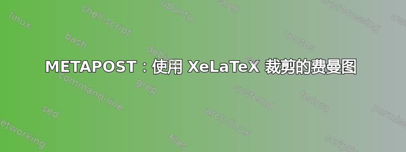 METAPOST：使用 XeLaTeX 裁剪的费曼图