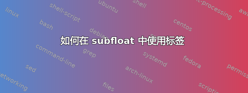 如何在 subfloat 中使用标签