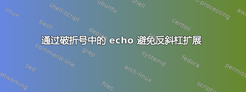 通过破折号中的 echo 避免反斜杠扩展