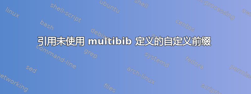 引用未使用 multibib 定义的自定义前缀