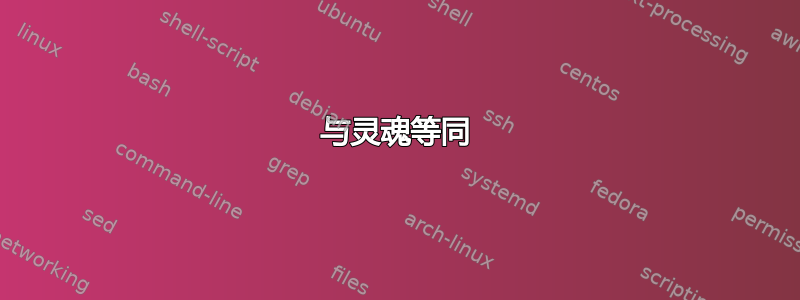 与灵魂等同