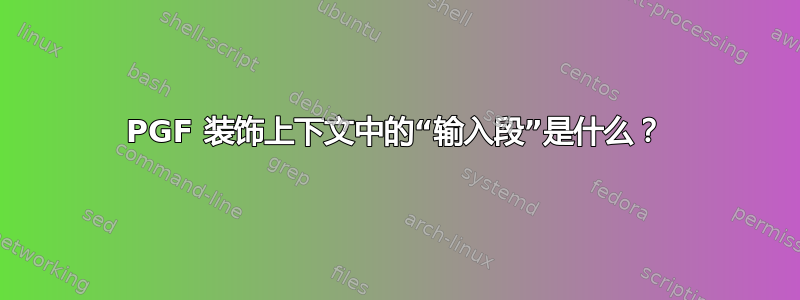 PGF 装饰上下文中的“输入段”是什么？