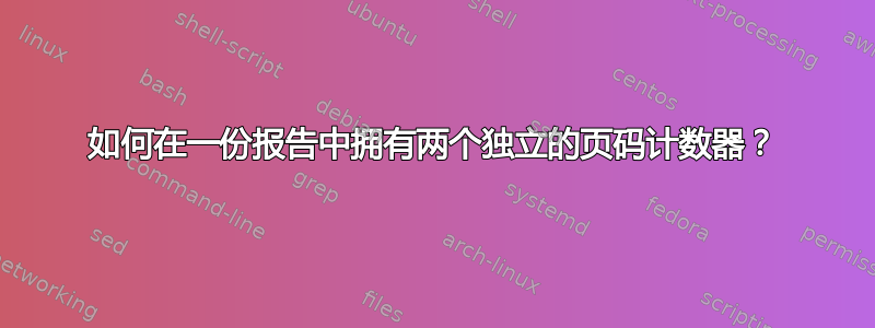 如何在一份报告中拥有两个独立的页码计数器？