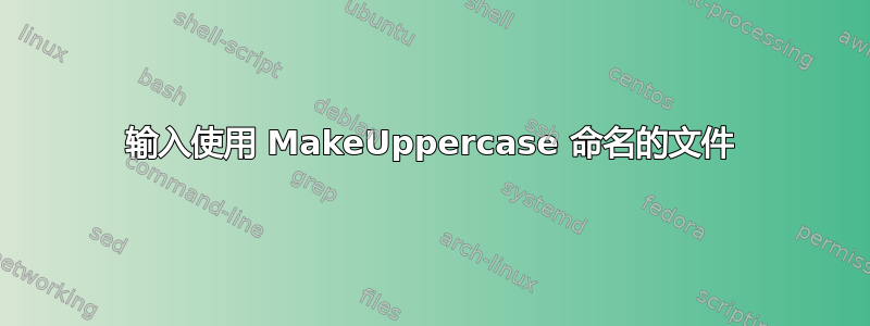 输入使用 MakeUppercase 命名的文件