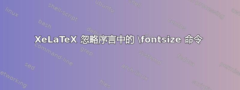 XeLaTeX 忽略序言中的 \fontsize 命令