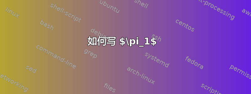 如何写 $\pi_1$ 