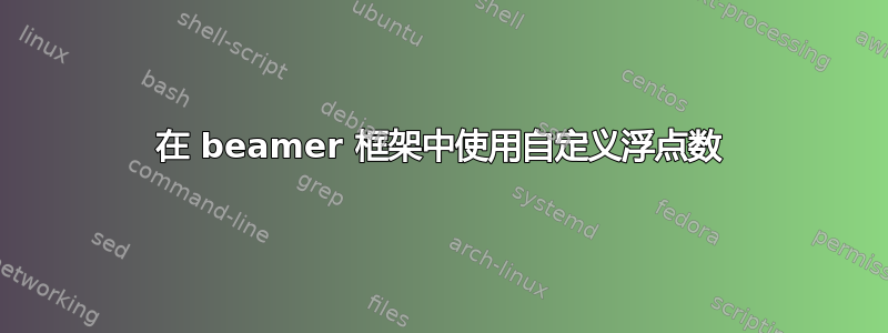 在 beamer 框架中使用自定义浮点数