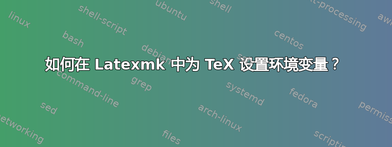 如何在 Latexmk 中为 TeX 设置环境变量？