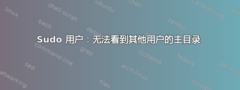 Sudo 用户：无法看到其他用户的主目录