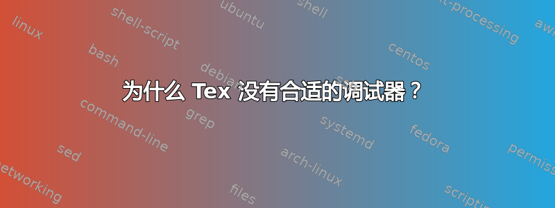 为什么 Tex 没有合适的调试器？