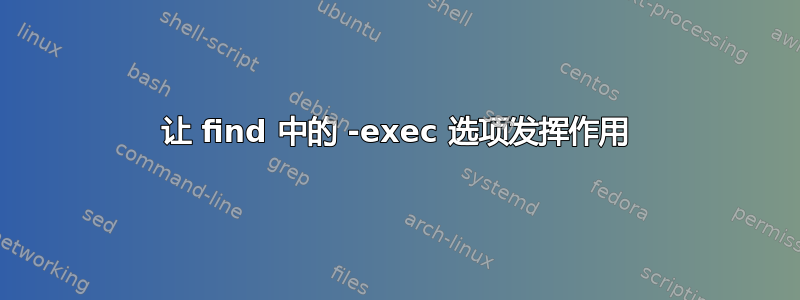 让 find 中的 -exec 选项发挥作用