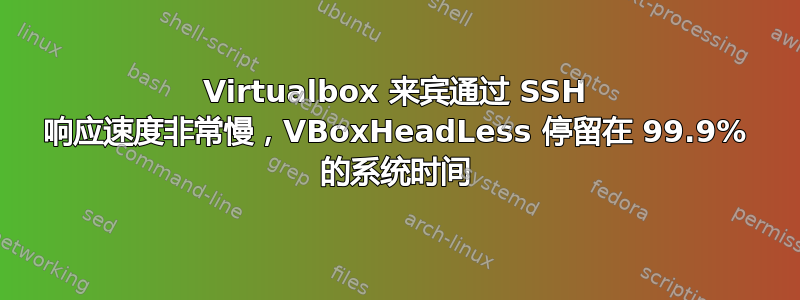 Virtualbox 来宾通过 SSH 响应速度非常慢，VBoxHeadLess 停留在 99.9% 的系统时间