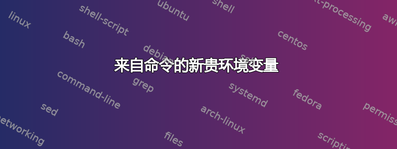 来自命令的新贵环境变量