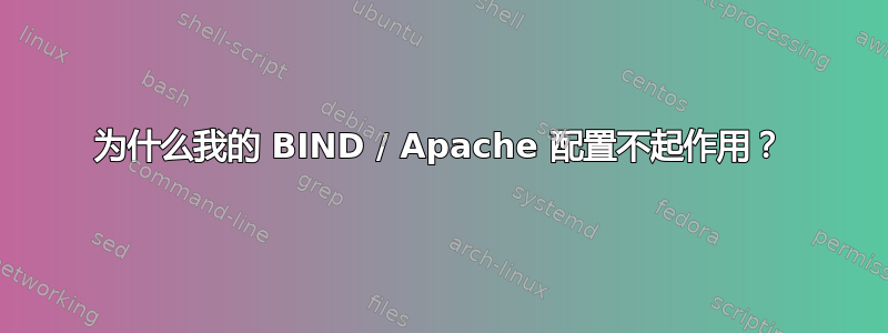 为什么我的 BIND / Apache 配置不起作用？