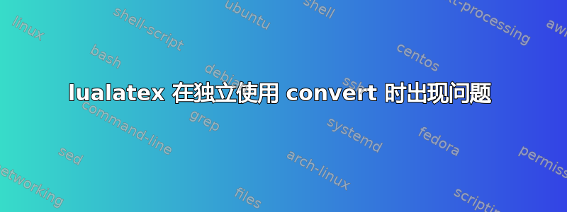 lualatex 在独立使用 convert 时出现问题