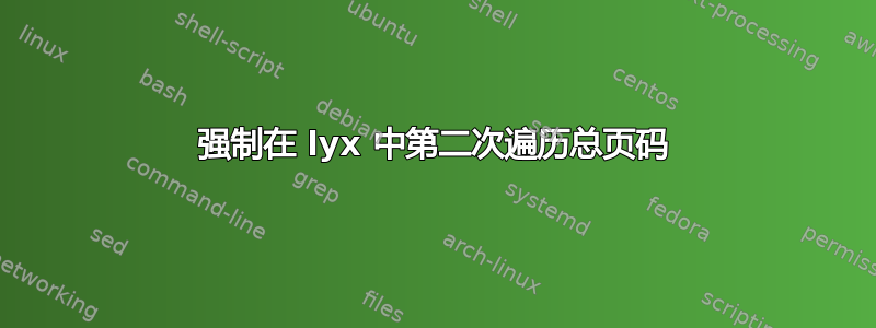 强制在 lyx 中第二次遍历总页码