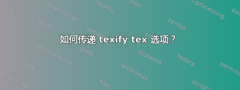 如何传递 texify tex 选项？