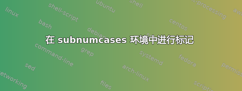 在 subnumcases 环境中进行标记