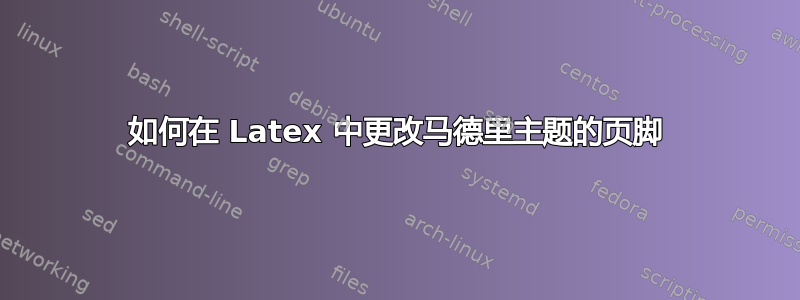 如何在 Latex 中更改马德里主题的页脚