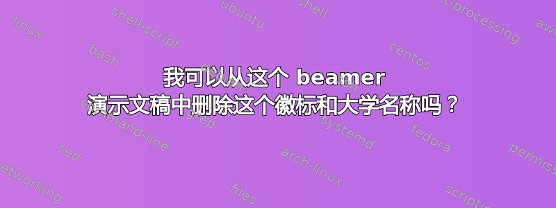 我可以从这个 beamer 演示文稿中删除这个徽标和大学名称吗？