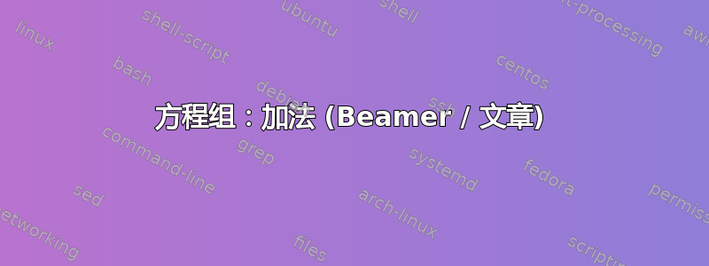 方程组：加法 (Beamer / 文章)