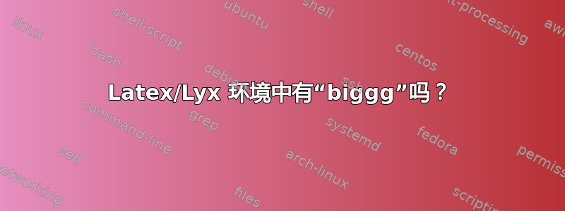 Latex/Lyx 环境中有“biggg”吗？