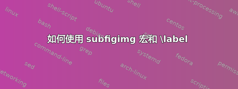 如何使用 subfigimg 宏和 \label