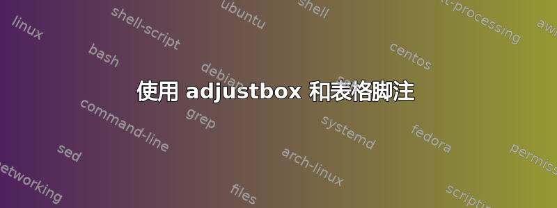 使用 adjustbox 和表格脚注