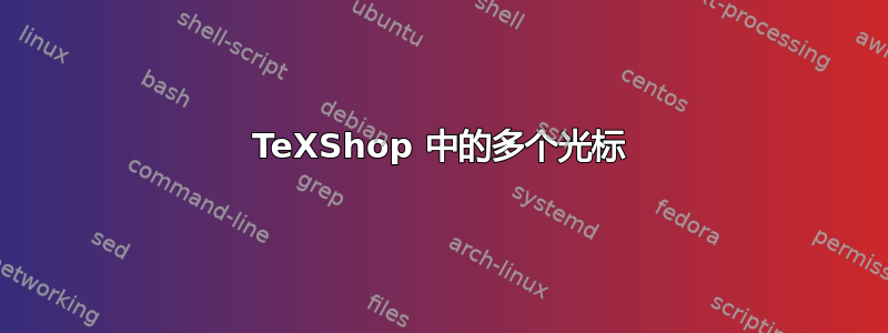 TeXShop 中的多个光标