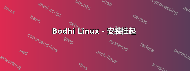 Bodhi Linux - 安装挂起