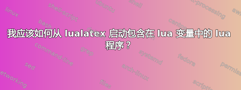 我应该如何从 lualatex 启动包含在 lua 变量中的 lua 程序？