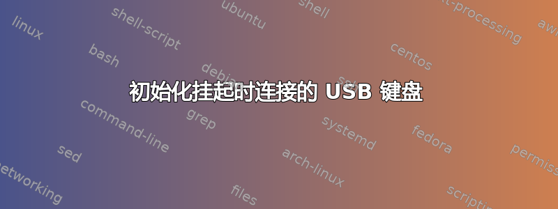 初始化挂起时连接的 USB 键盘