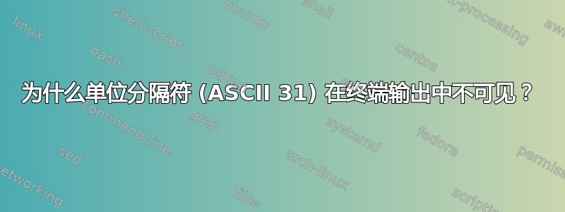 为什么单位分隔符 (ASCII 31) 在终端输出中不可见？