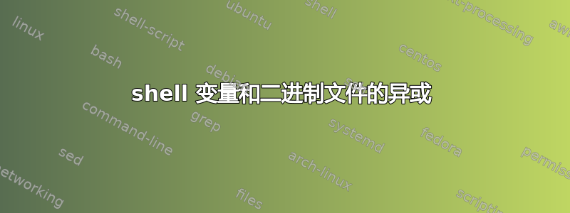 shell 变量和二进制文件的异或