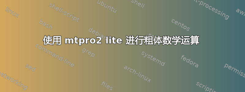 使用 mtpro2 lite 进行粗体数学运算