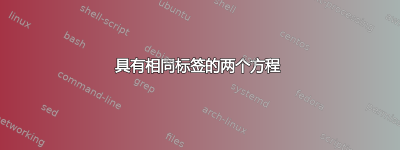 具有相同标签的两个方程