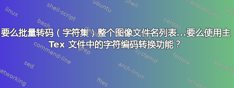 要么批量转码（字符集）整个图像文件名列表...要么使用主 Tex 文件中的字符编码转换功能？