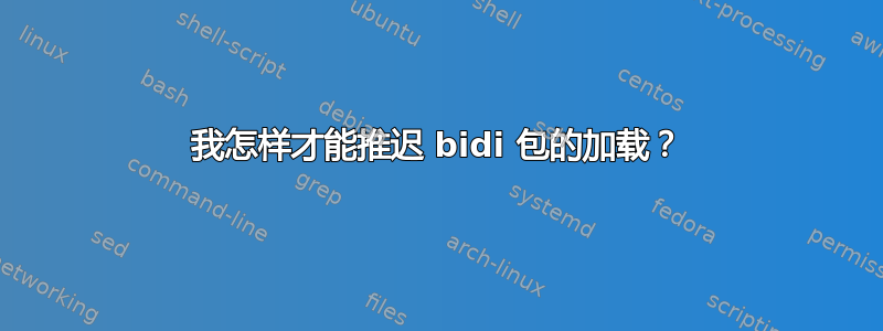 我怎样才能推迟 bidi 包的加载？