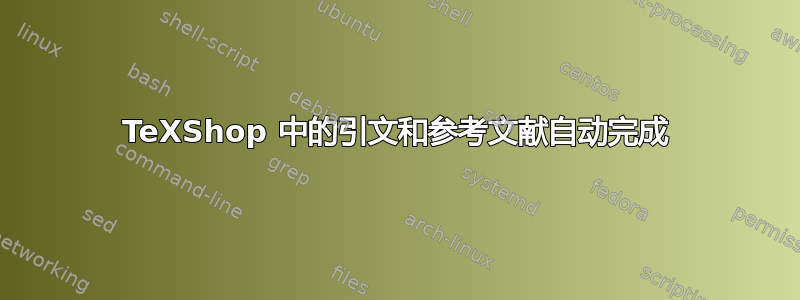 TeXShop 中的引文和参考文献自动完成