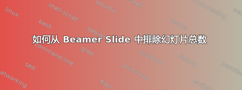 如何从 Beamer Slide 中排除幻灯片总数