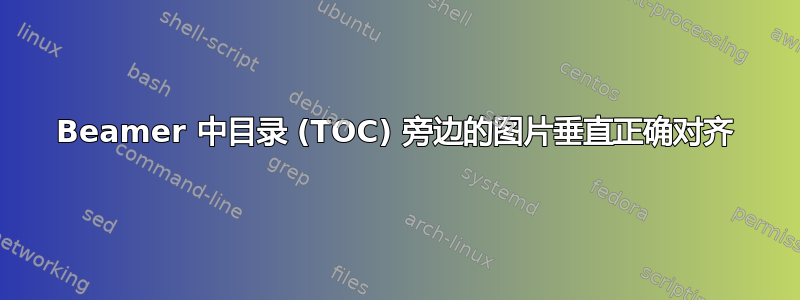 Beamer 中目录 (TOC) 旁边的图片垂直正确对齐