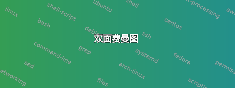 双面费曼图