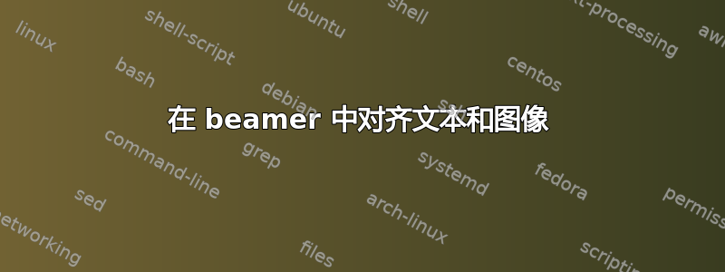 在 beamer 中对齐文本和图像